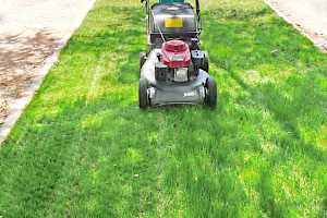 mowing grass parking pad